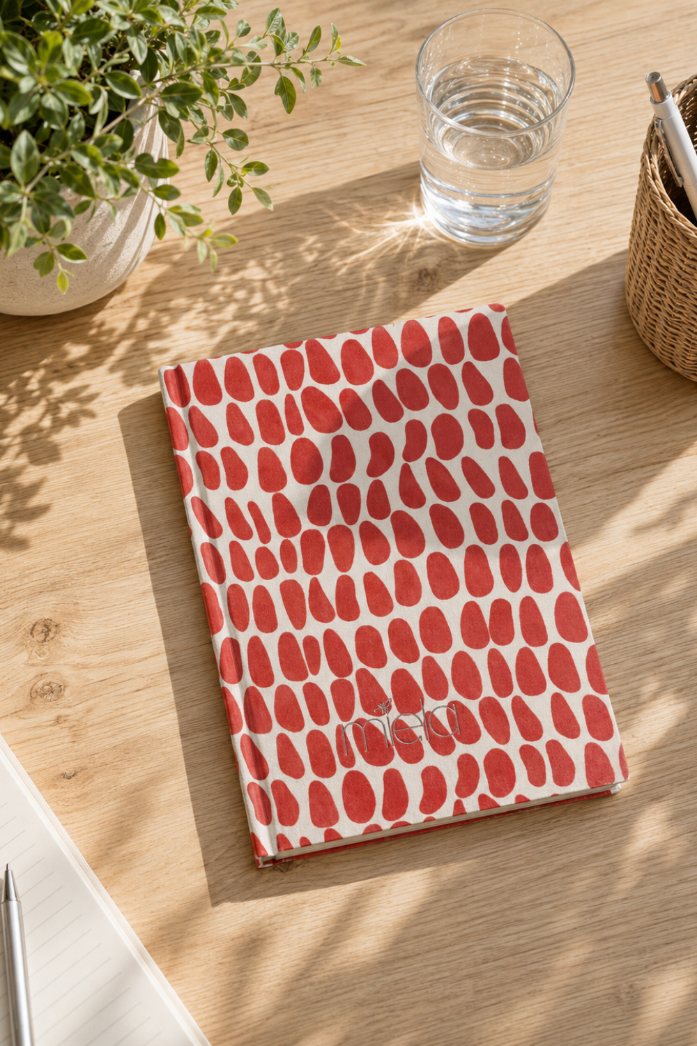Rain Defter